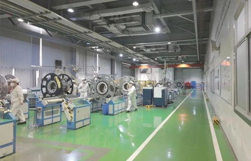 以教育之強譜寫高質量發展新篇 浙大勇擔使命，我與教育強國共成長