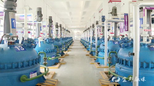 宜昌誠凱化工科研投入超500萬元，新興能源技術研發成新引擎